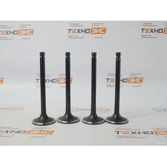 Клапан выпускной YCD4J22G (1DQ000-1007012, 1JG000-1003103)