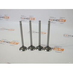 Клапан выпускной YCD4R11G (1AQ000-1007012+A, 1BQ000)