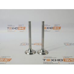 Клапан впускной WP4G95E221