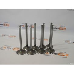 Клапан выпускной zhazg1 (ZH4100-03005)