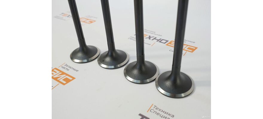 Клапан выпускной YCD4J22G (1DQ000-1007012, 1JG000-1003103), изображение 4