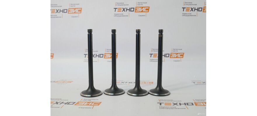 Клапан выпускной YCD4J22G (1DQ000-1007012, 1JG000-1003103)