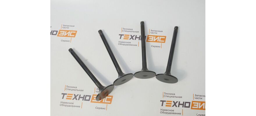 Клапан выпускной YCD4J22G (1DQ000-1007012, 1JG000-1003103), изображение 5