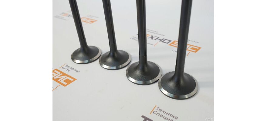 Клапан выпускной YCD4J22G (1DQ000-1007012, 1JG000-1003103), изображение 3