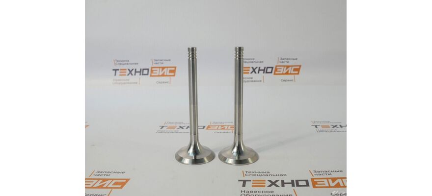 Клапан впускной WP6/TD226 (12159606), изображение 3