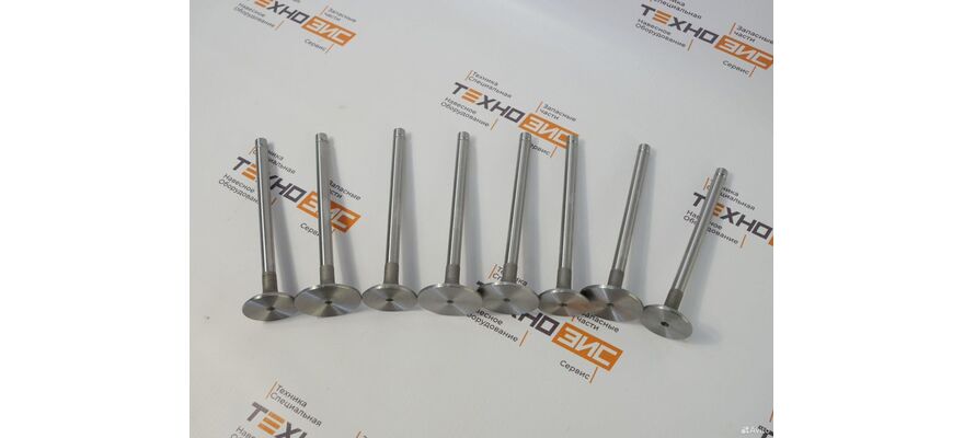 Клапан впускной 4rmazg (R010001Y-1), изображение 8