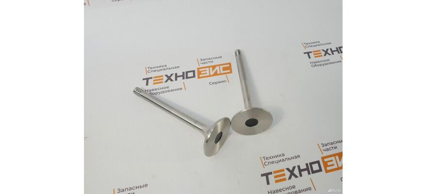 Клапан впускной WP4G95E221, изображение 5