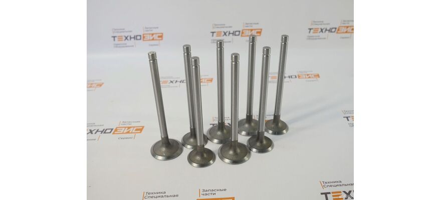 Клапан впускной 4rmazg (R010001Y-1), изображение 2