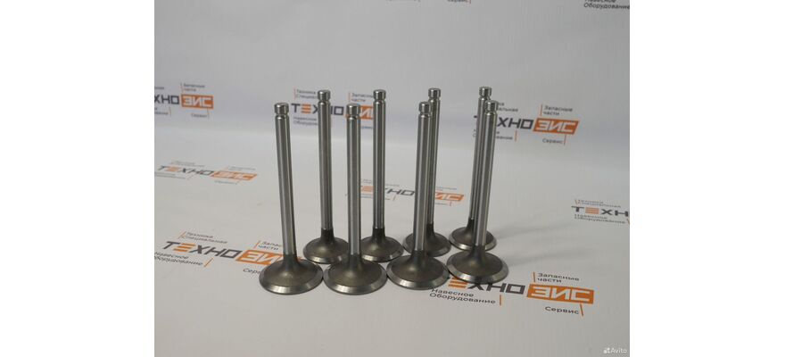 Клапан выпускной zhazg1 (ZH4100-03005)