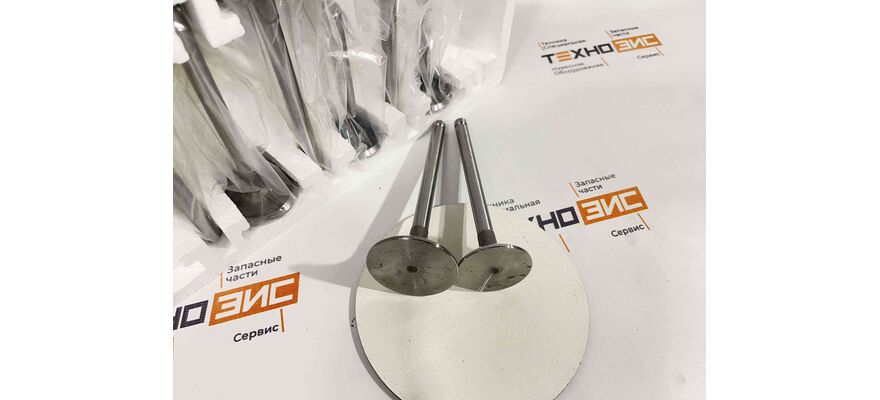 Клапан впускной YN33GBZ, изображение 2