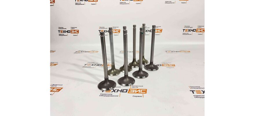 Клапан выпускной YN48GBZ, изображение 2